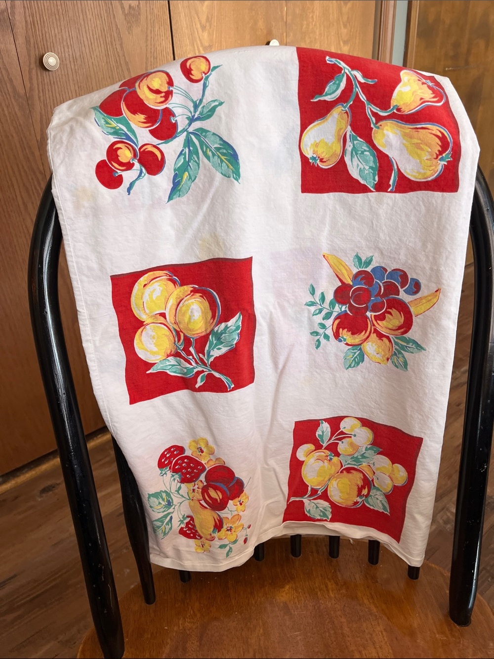 Vintage Fruit Print Kitchen Tablecloth 46x31
